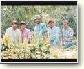 Buy The Beach Boys Now Photo